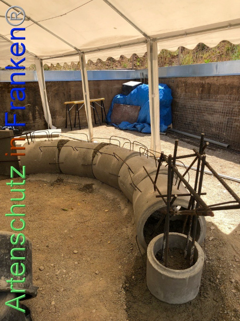 © Artenschutz in Franken® Bild zum Eintrag (1074112-160)