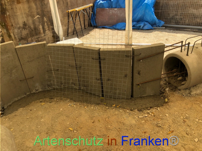 © Artenschutz in Franken® Bild zum Eintrag (1074113-160)