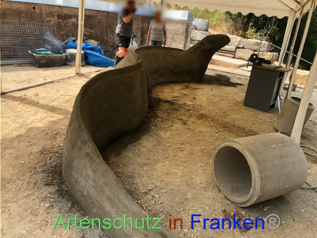 © Artenschutz in Franken® Bild zum Eintrag (1074119-160)