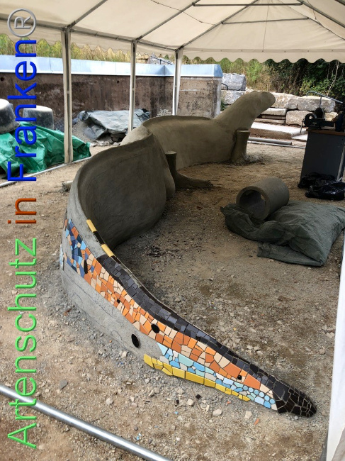 © Artenschutz in Franken® Bild zum Eintrag (1074120-160)