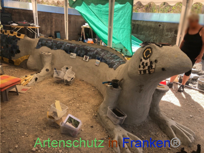 © Artenschutz in Franken® Bild zum Eintrag (1074123-160)