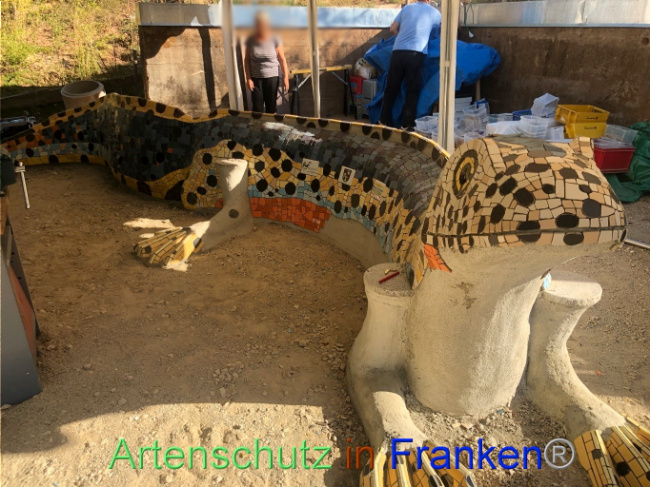 © Artenschutz in Franken® Bild zum Eintrag (1074124-160)