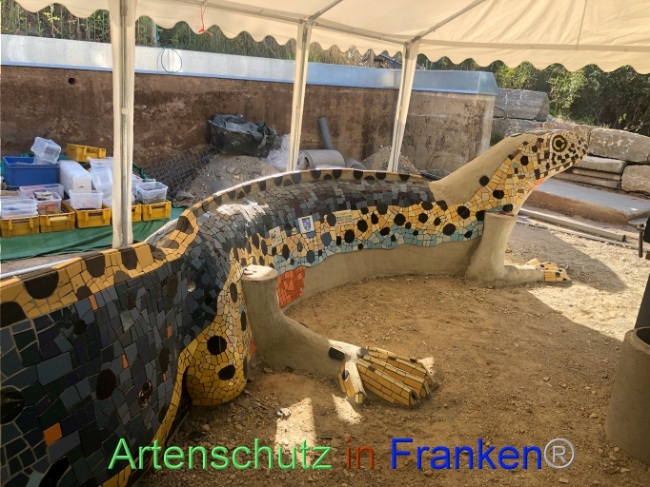 © Artenschutz in Franken® Bild zum Eintrag (1074125-160)