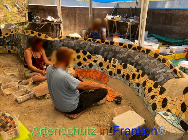 © Artenschutz in Franken® Bild zum Eintrag (1074129-160)