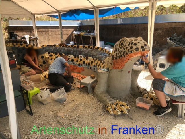 © Artenschutz in Franken® Bild zum Eintrag (1074130-160)