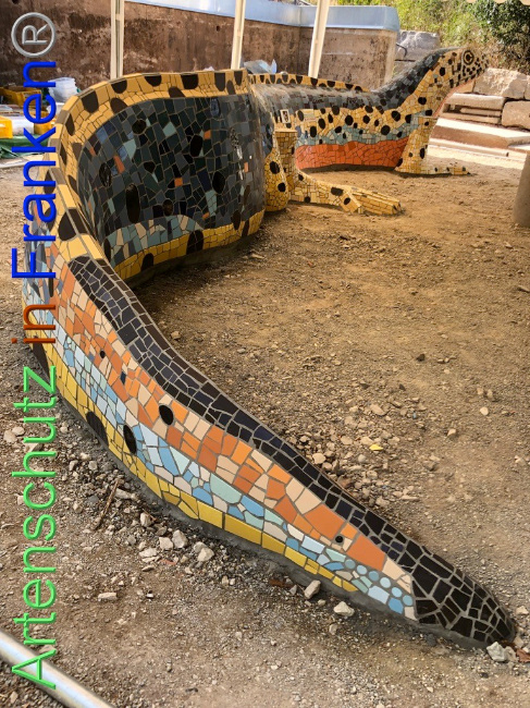 © Artenschutz in Franken® Bild zum Eintrag (1074131-160)