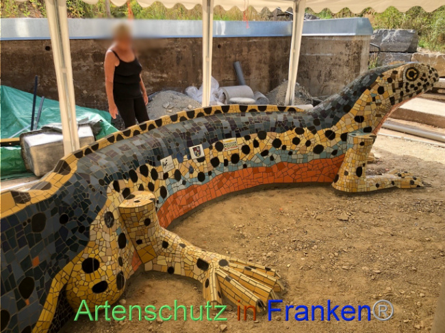 © Artenschutz in Franken® Bild zum Eintrag (1074133-160)