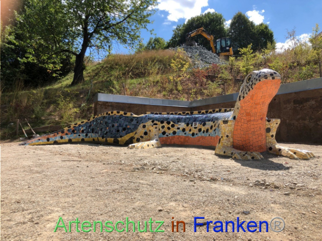 © Artenschutz in Franken® Bild zum Eintrag (1074134-160)