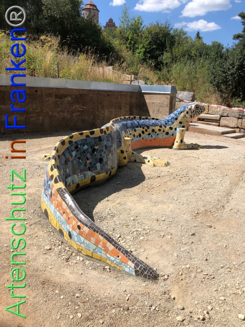 © Artenschutz in Franken® Bild zum Eintrag (1074135-160)