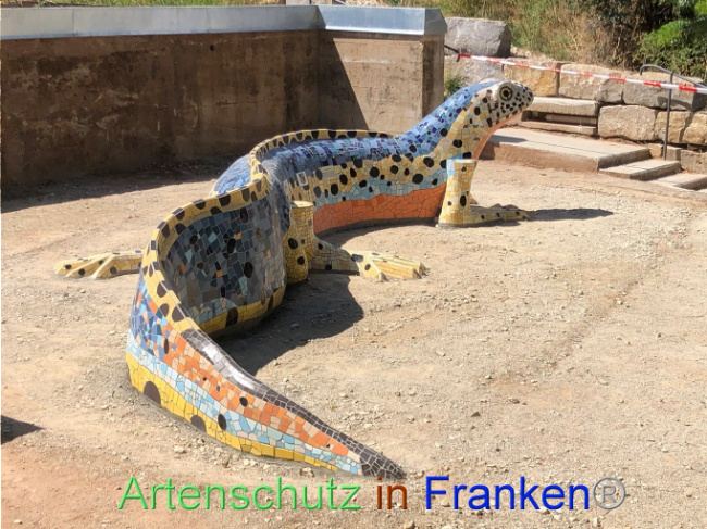 © Artenschutz in Franken® Bild zum Eintrag (1074138-160)