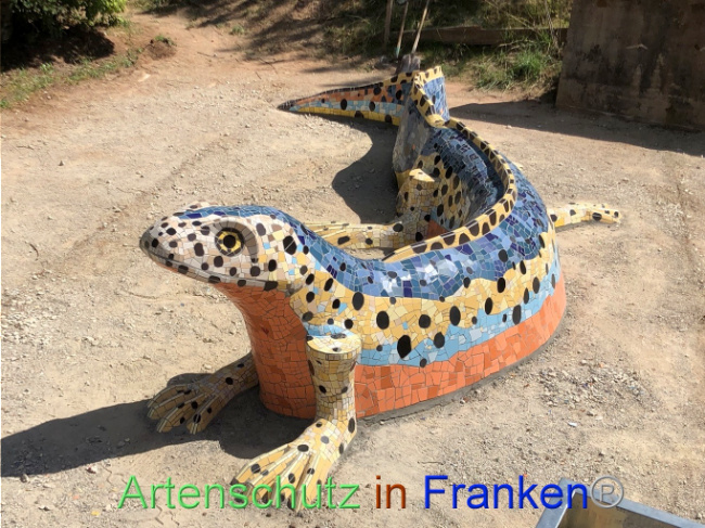 © Artenschutz in Franken® Bild zum Eintrag (1074139-160)