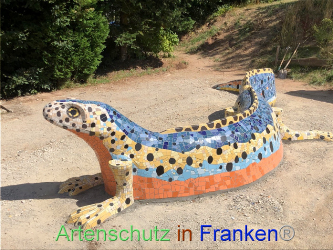 © Artenschutz in Franken® Bild zum Eintrag (1074140-160)
