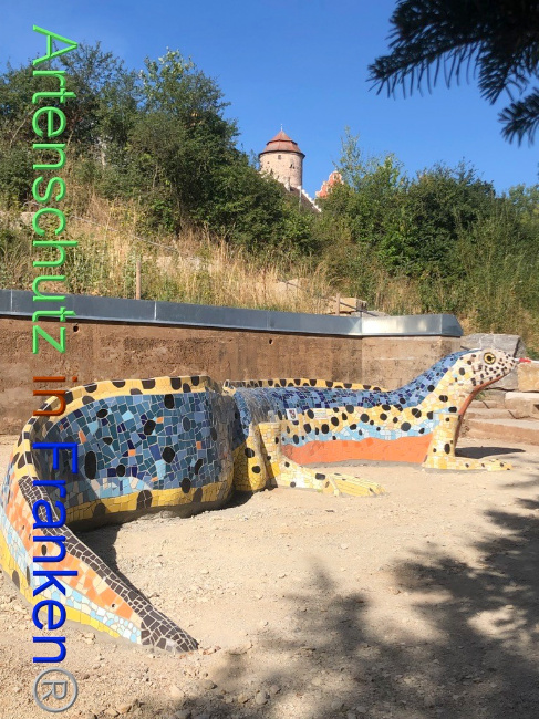 © Artenschutz in Franken® Bild zum Eintrag (1074141-160)