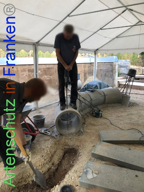 Bild zum Eintrag (1074142-160)