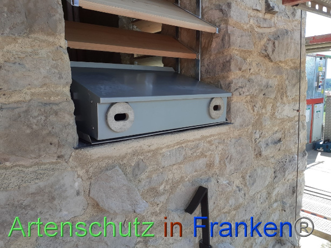 © Artenschutz in Franken® Bild zum Eintrag (1074172-160)