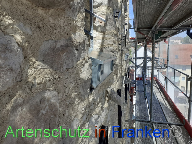 © Artenschutz in Franken® Bild zum Eintrag (1074176-160)