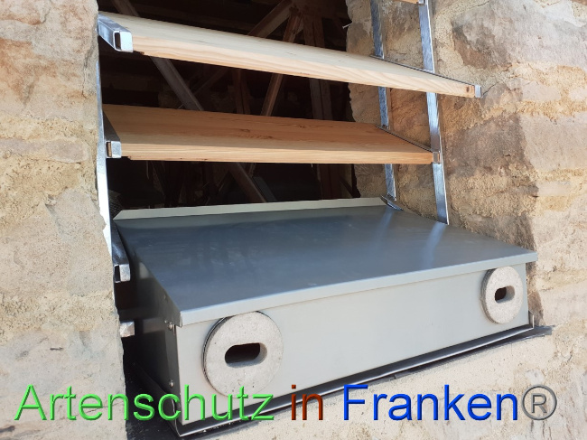© Artenschutz in Franken® Bild zum Eintrag (1074179-160)