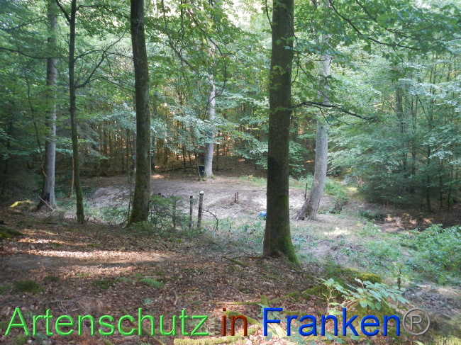 © Artenschutz in Franken® Bild zum Eintrag (1074209-160)