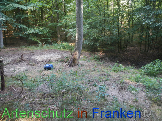 © Artenschutz in Franken® Bild zum Eintrag (1074216-160)