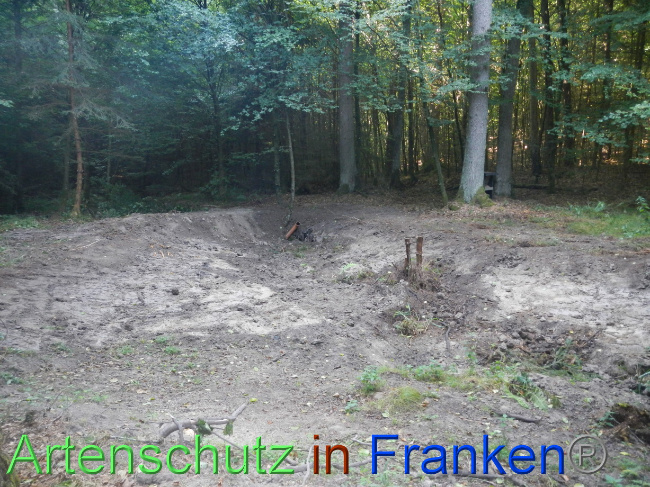 © Artenschutz in Franken® Bild zum Eintrag (1074223-160)
