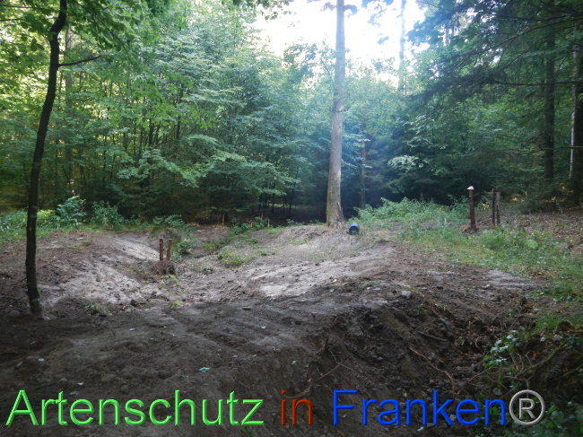 © Artenschutz in Franken® Bild zum Eintrag (1074235-160)