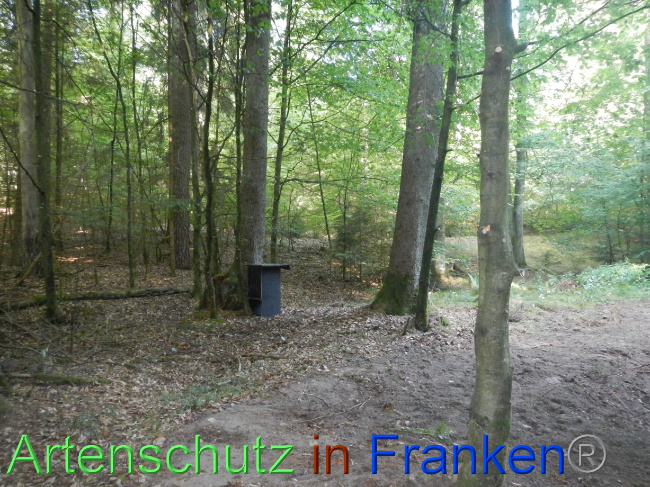© Artenschutz in Franken® Bild zum Eintrag (1074236-160)