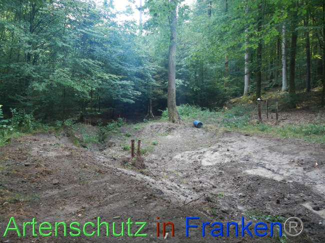 © Artenschutz in Franken® Bild zum Eintrag (1074237-160)