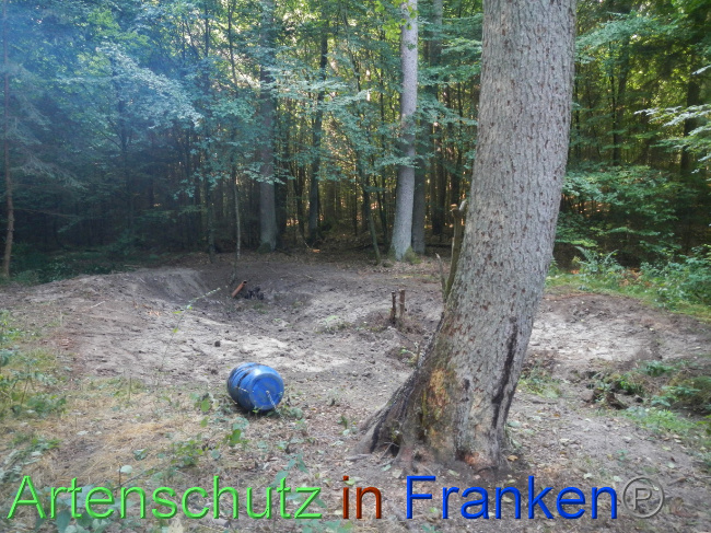 © Artenschutz in Franken® Bild zum Eintrag (1074260-160)