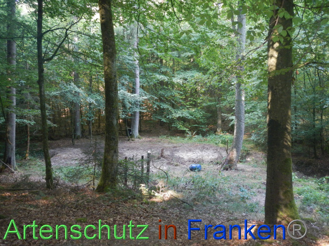 © Artenschutz in Franken® Bild zum Eintrag (1074266-160)
