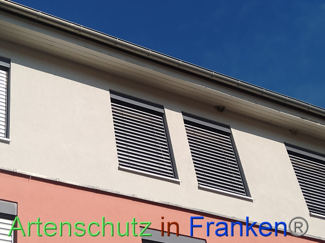 © Artenschutz in Franken® Bild zum Eintrag (1074386-160)