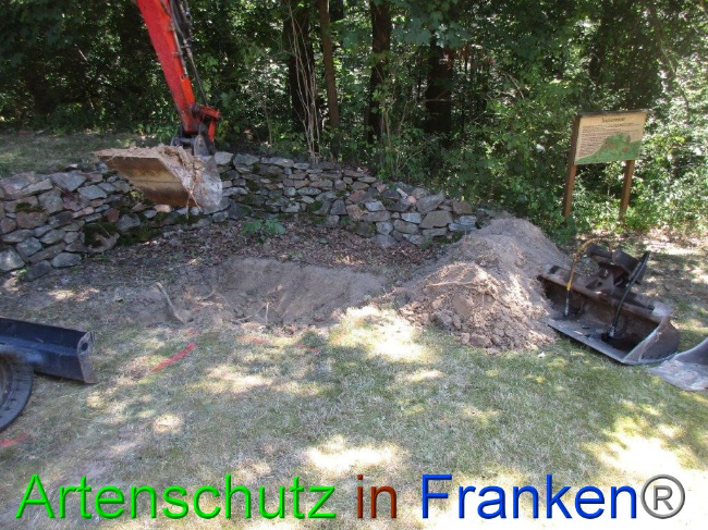 © Artenschutz in Franken® Bild zum Eintrag (1074483-160)