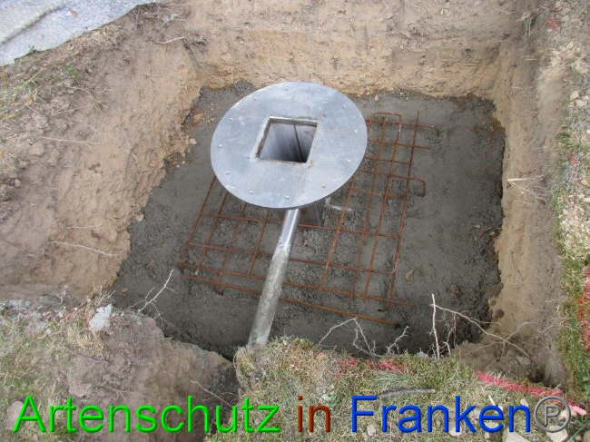 © Artenschutz in Franken® Bild zum Eintrag (1074492-160)