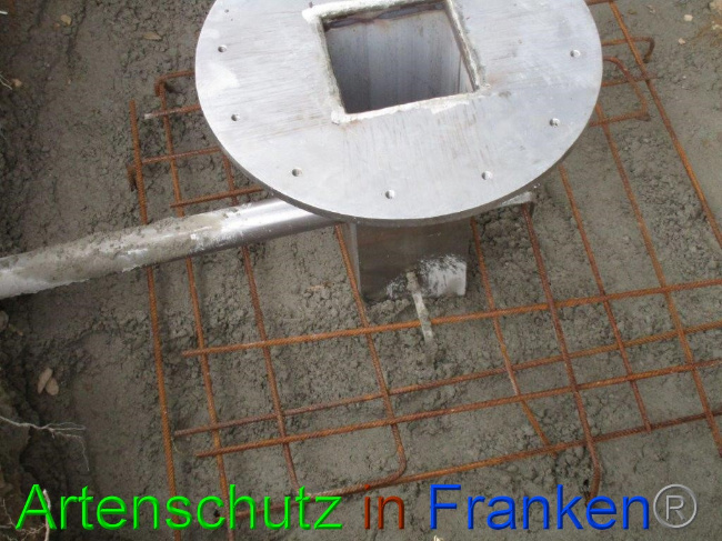 © Artenschutz in Franken® Bild zum Eintrag (1074493-160)