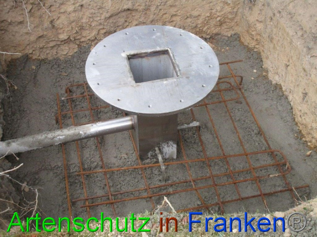 © Artenschutz in Franken® Bild zum Eintrag (1074494-160)