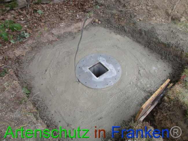 © Artenschutz in Franken® Bild zum Eintrag (1074501-160)
