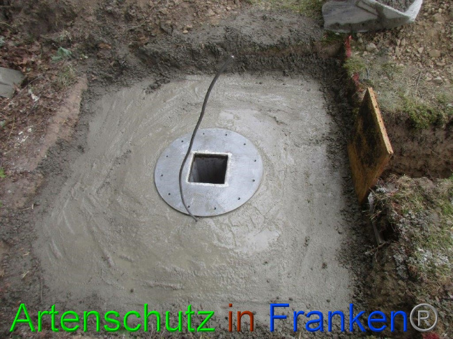 © Artenschutz in Franken® Bild zum Eintrag (1074503-160)