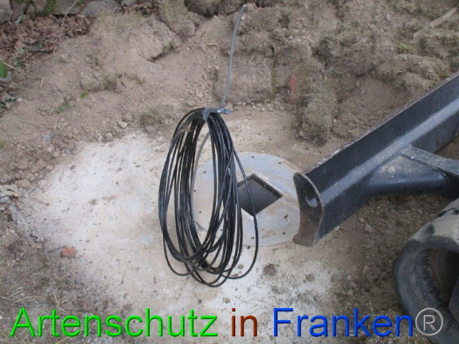 © Artenschutz in Franken® Bild zum Eintrag (1074535-160)