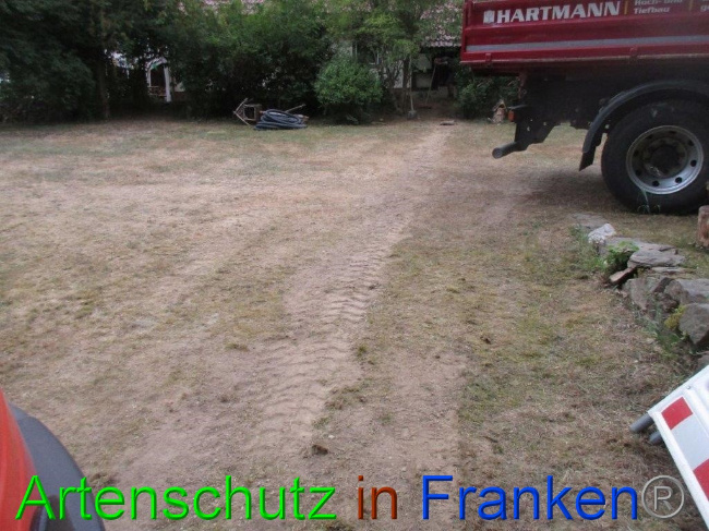 © Artenschutz in Franken® Bild zum Eintrag (1074536-160)