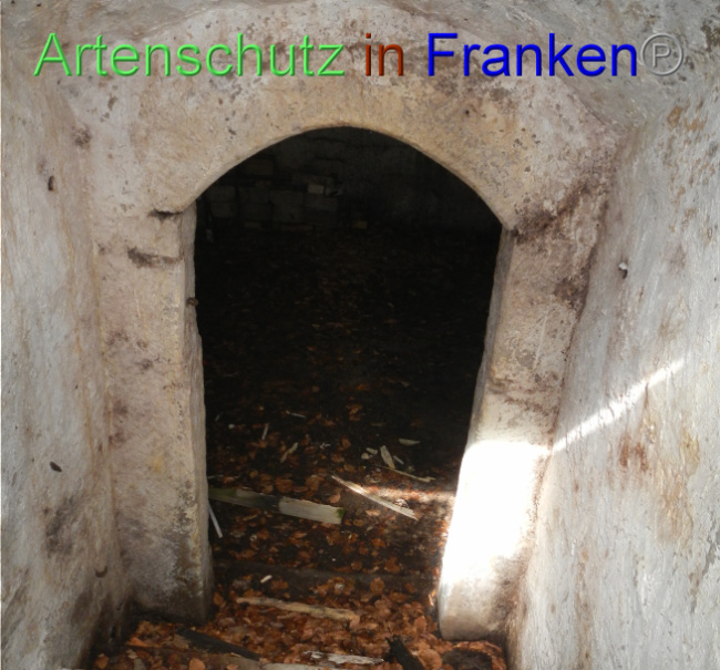 Bild zum Eintrag (1074725-160)