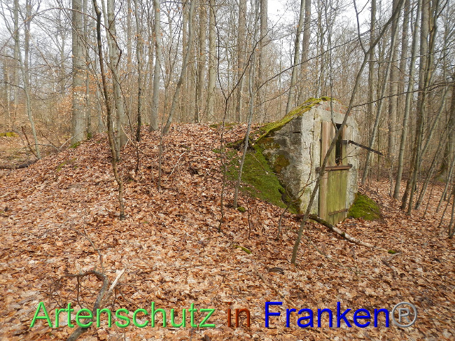 Bild zum Eintrag (1074729-160)