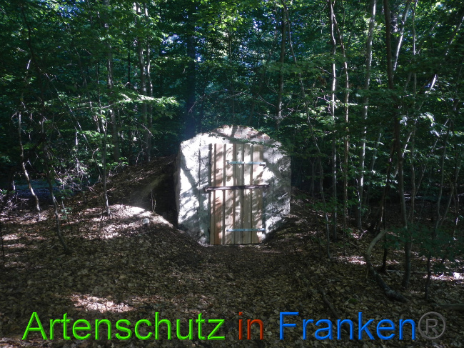 © Artenschutz in Franken® Bild zum Eintrag (1074732-160)