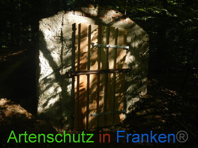 © Artenschutz in Franken® Bild zum Eintrag (1074733-160)