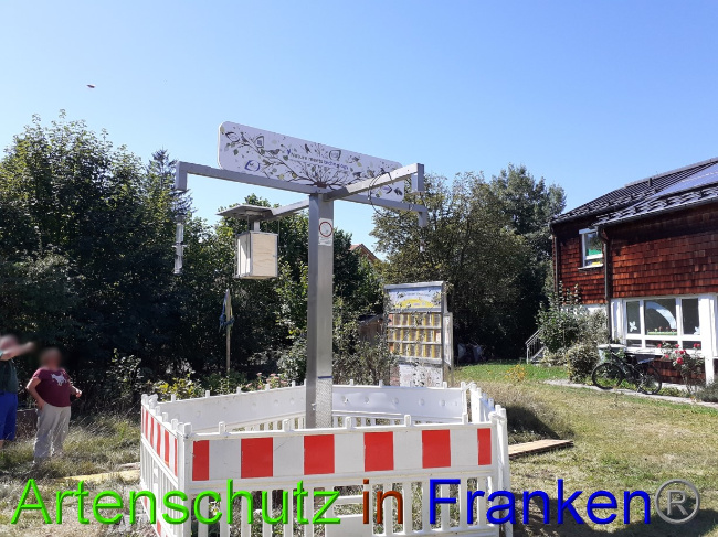 © Artenschutz in Franken® Bild zum Eintrag (1075243-160)