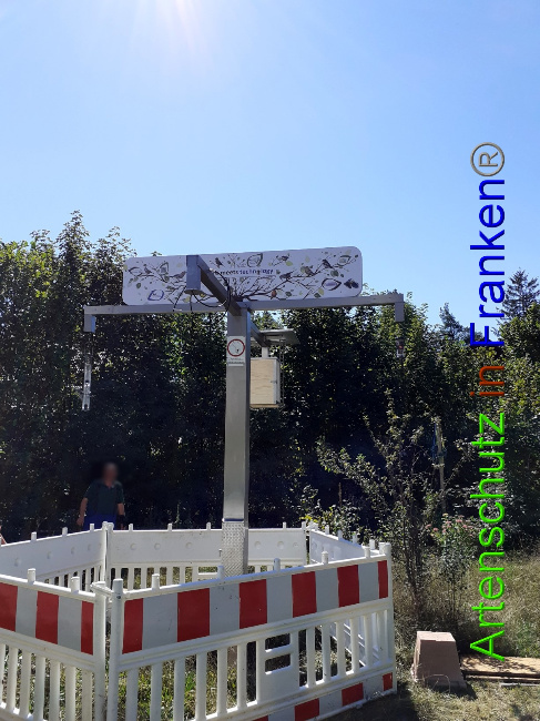 © Artenschutz in Franken® Bild zum Eintrag (1075247-160)