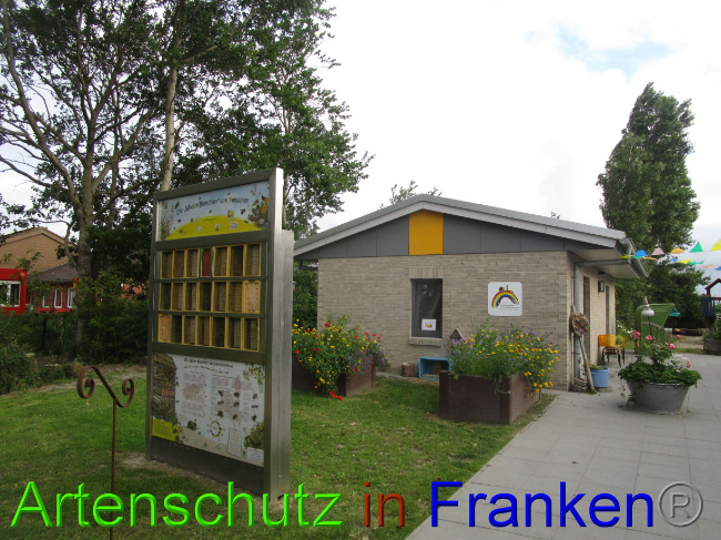 © Artenschutz in Franken® Bild zum Eintrag (1075254-160)
