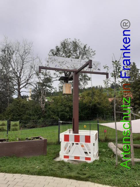 © Artenschutz in Franken® Bild zum Eintrag (1075263-160)