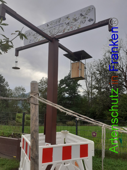 © Artenschutz in Franken® Bild zum Eintrag (1075267-160)
