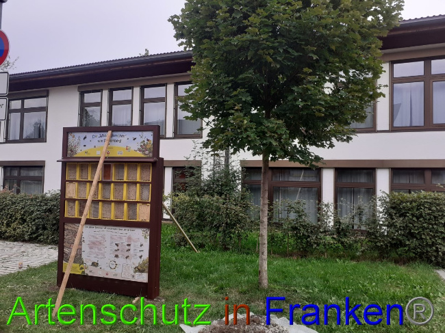 © Artenschutz in Franken® Bild zum Eintrag (1075278-160)