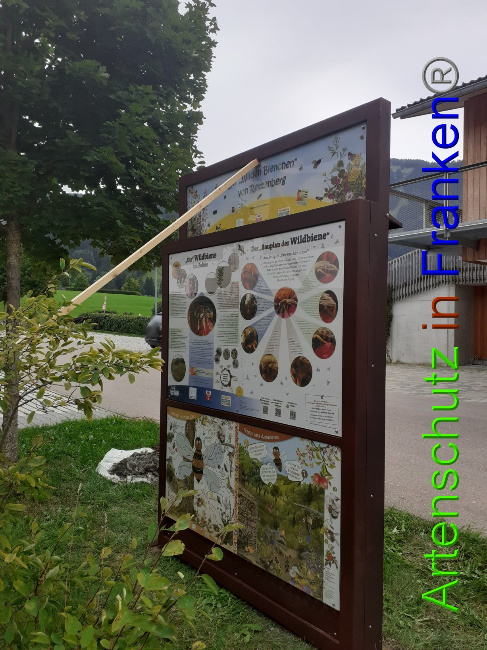 © Artenschutz in Franken® Bild zum Eintrag (1075280-160)