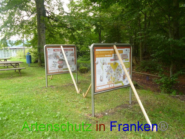 © Artenschutz in Franken® Bild zum Eintrag (1075294-160)